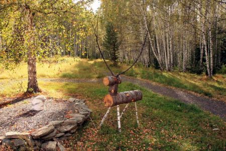 Внешний вид