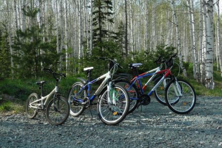 Внешний вид