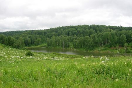 Внешний вид