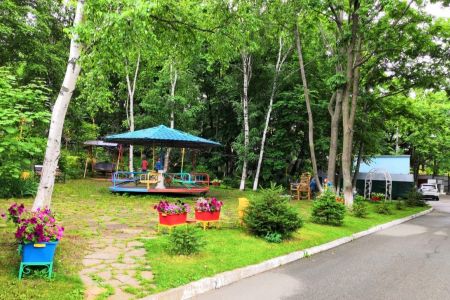 Внешний вид