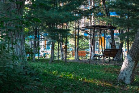 Внешний вид