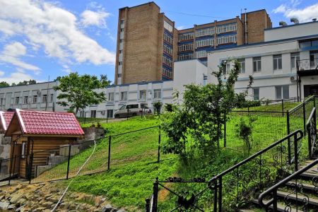 Внешний вид