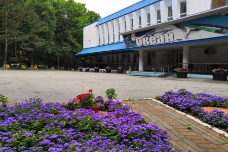 Внешний вид