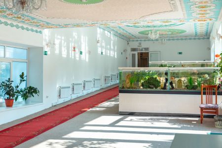 Внешний вид