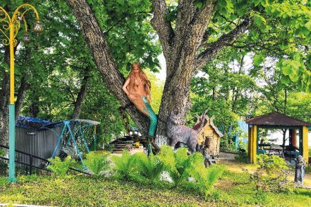 Внешний вид