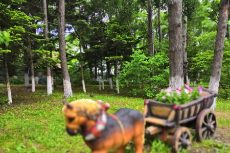 Внешний вид