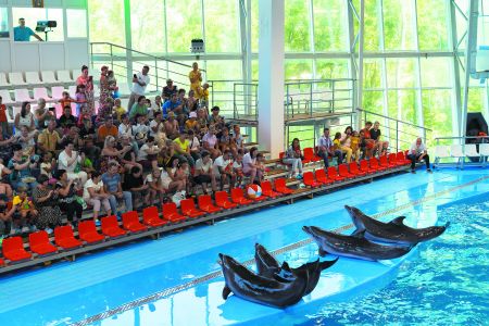 Внешний вид