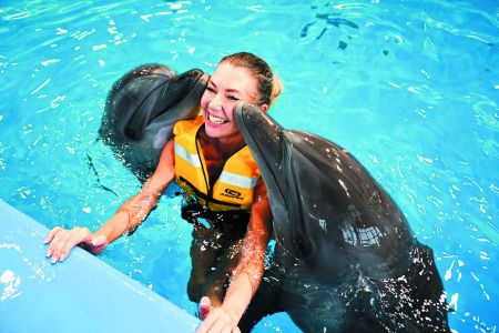 Внешний вид