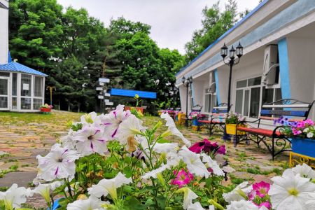 Внешний вид