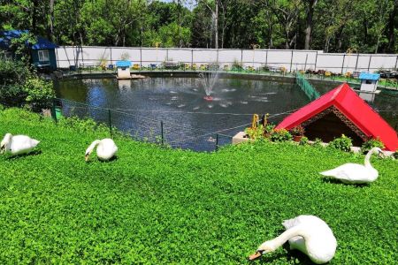 Внешний вид