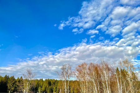 Стандартный 3-местный