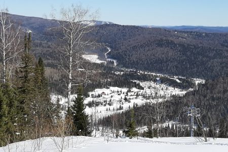 Внешний вид