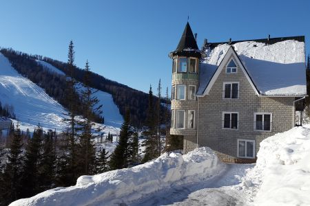 Внешний вид