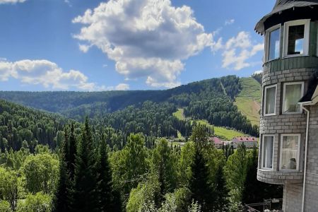 Внешний вид