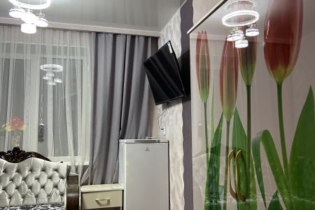 Стандартный 2-местный DBL