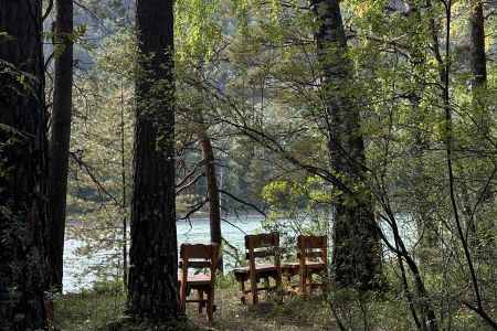 Сказка Алтая