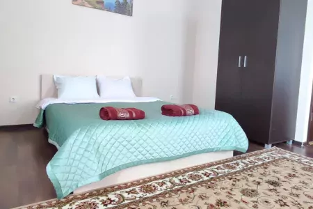 дом нарцисы