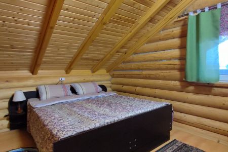 дом нарцисы