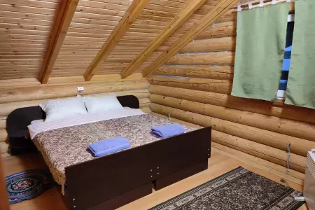 дом нарцисы