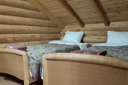 дом нарцисы