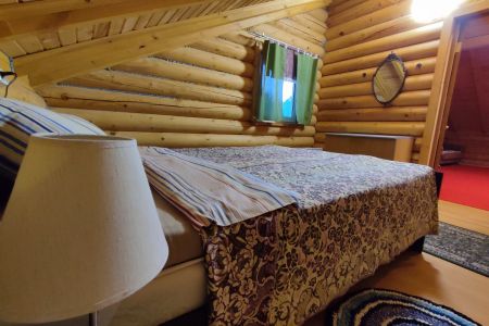 дом нарцисы