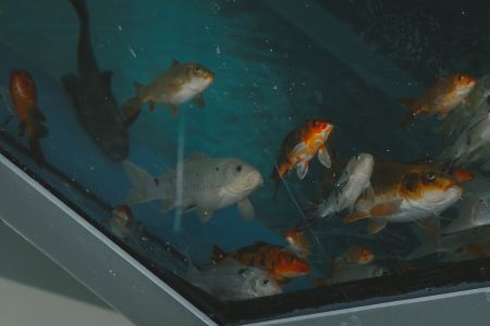 Внешний вид. 1 корпус