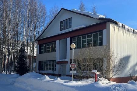 Внешний вид