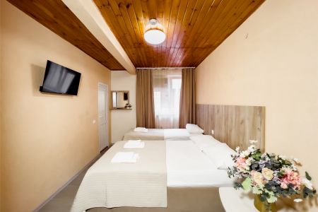 Семейный 4-местный