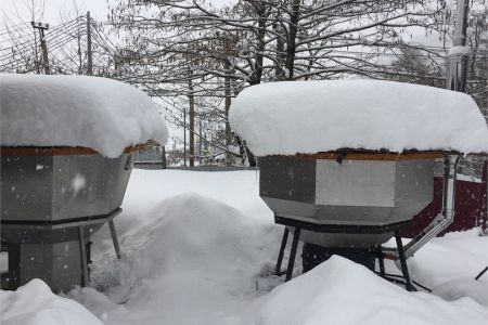 Внешний вид