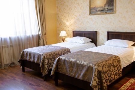 Полулюкс 2-местный