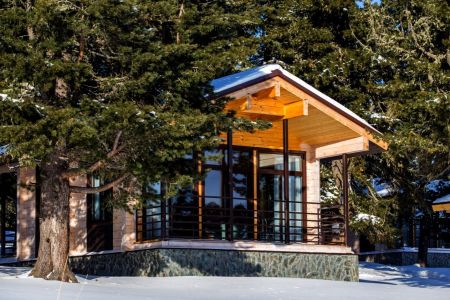 Внешний вид