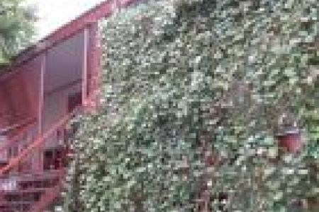 «У Людмилы» гостевой дом