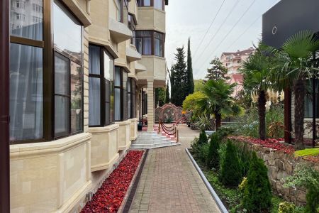 Внешний вид