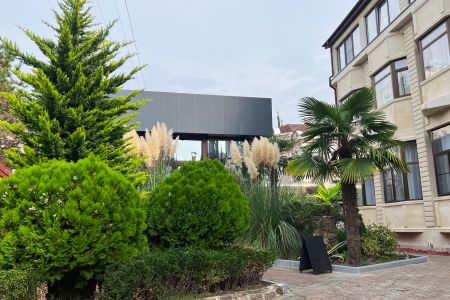 Внешний вид