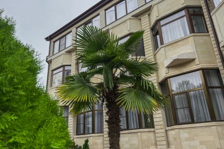 Сенатор НеоЛит