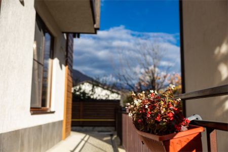 Территория