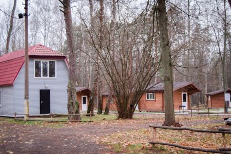 Внешний вид