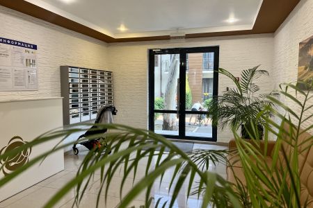 Территория, внешний вид