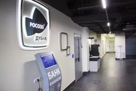 Внешнийи вид