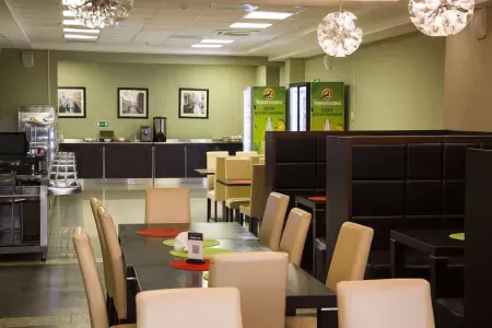 Внешнийи вид