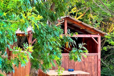 Территория