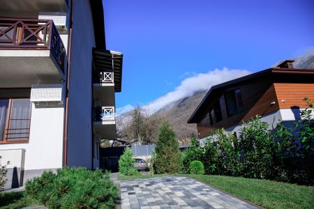 Внешний вид