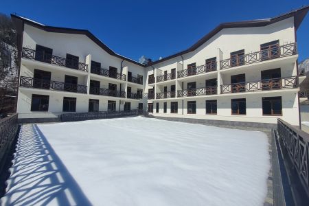 Внешний вид