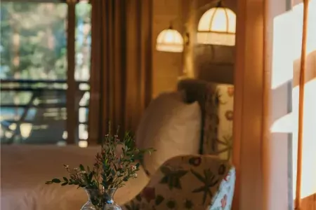 Номер 1-комнатный (Лютик в доме Цветов)