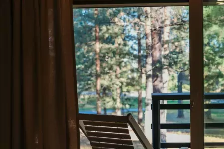 Номер 1-комнатный (Лютик в доме Цветов)