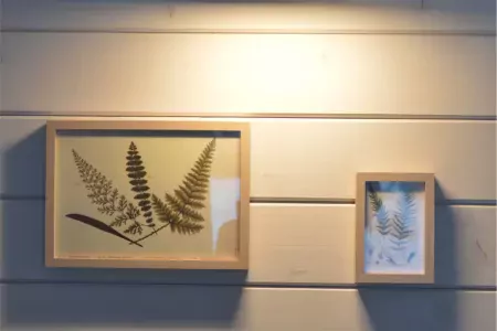 Номер 1-комнатный (Лютик в доме Цветов)