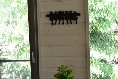 Дом 5-местный (Звездный дом)