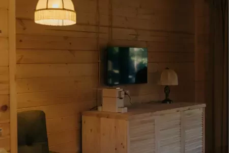 Номер 1-комнатный (Лютик в доме Цветов)