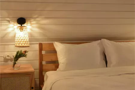 Номер 1-комнатный (Пион в доме Цветов)