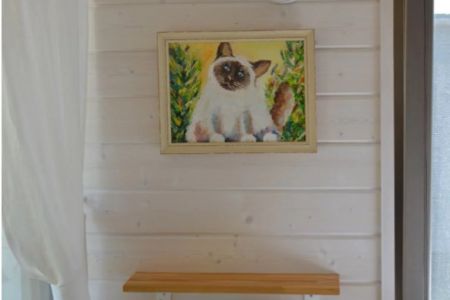 Дом 5-местный (Звездный дом)